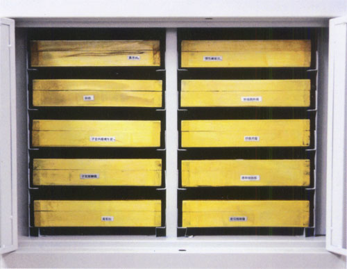 藥柜，病理柜，教學(xué)切片柜